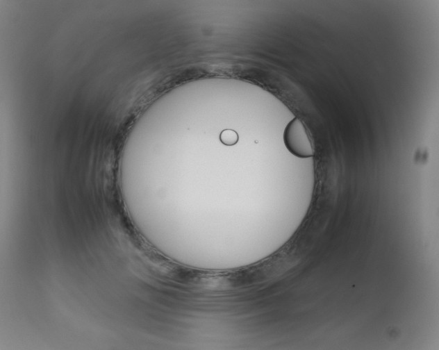 X0000112970702200908270943