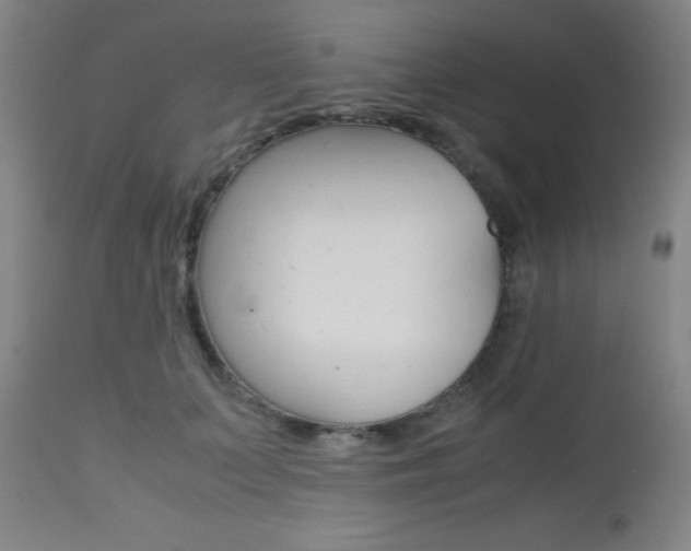 X0000112970703200908270943