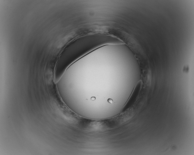 X0000112970704200908270943