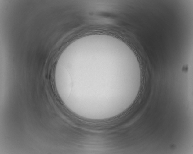 X0000112970705200908270943