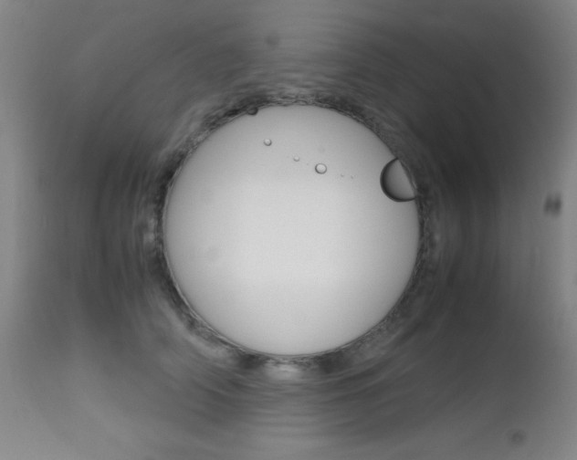 X0000112970706200908270943