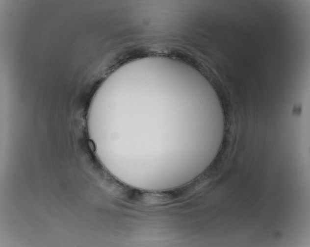 X0000112970707200908270943