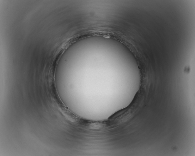 X0000112970708200908270943
