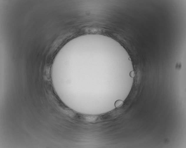 X0000112970709200908270943