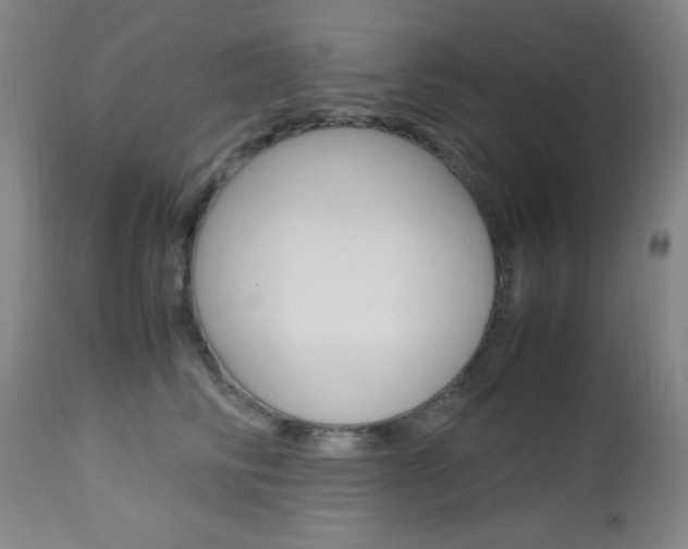 X0000112970710200908270943