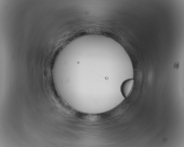 X0000112970711200908270943