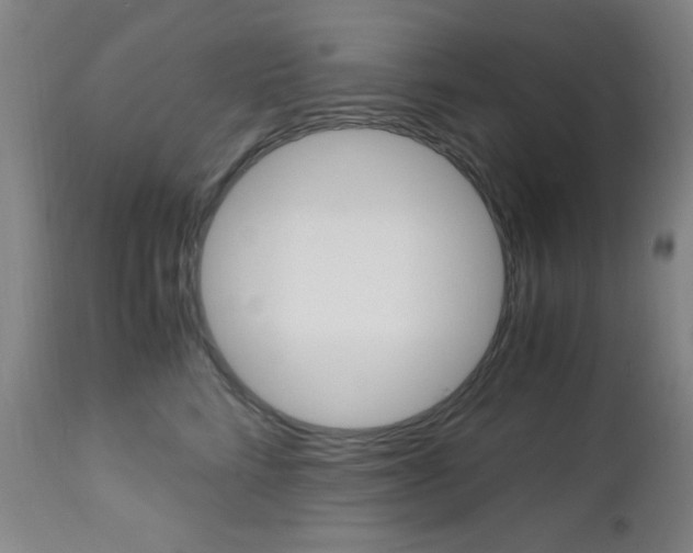 X0000112970712200908270943