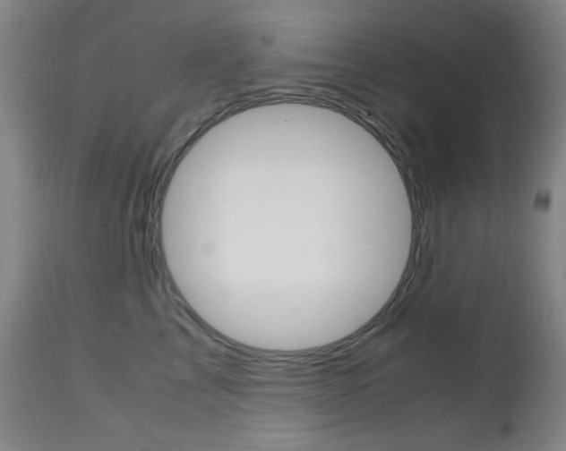 X0000112970713200908270943
