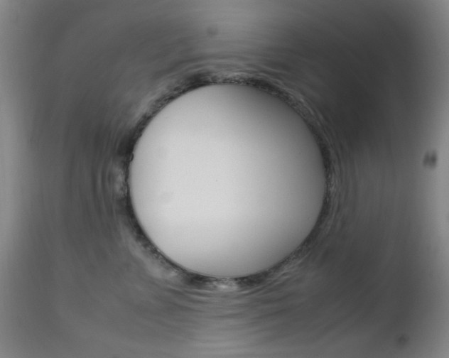 X0000112970715200908270943