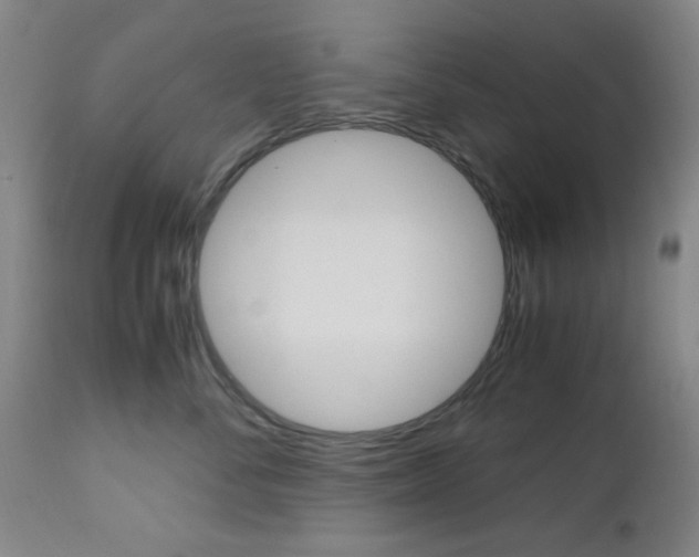 X0000112970716200908270943