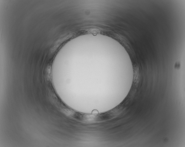 X0000112970717200908270943