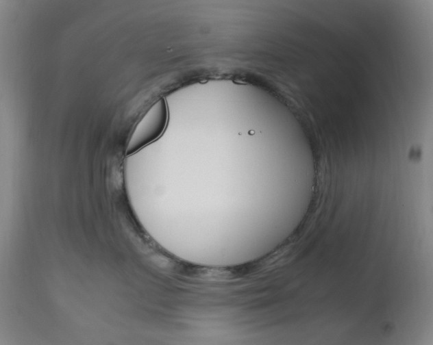 X0000112970719200908270943