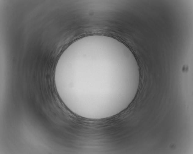 X0000112970720200908270943