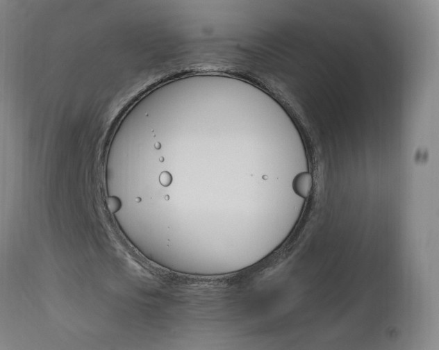 X0000112970721200908270942