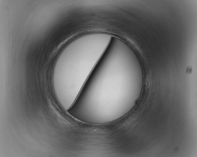 X0000112970722200908270942