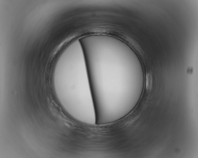X0000112970723200908270942