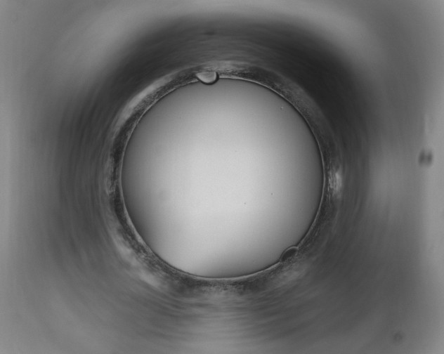 X0000112970724200908270942