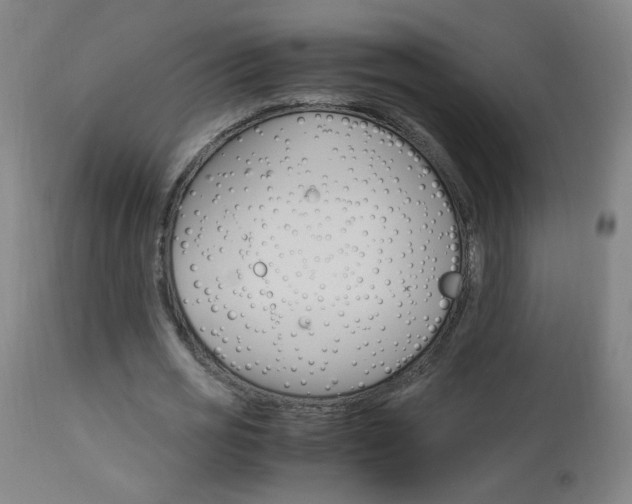 X0000112970725200908270942