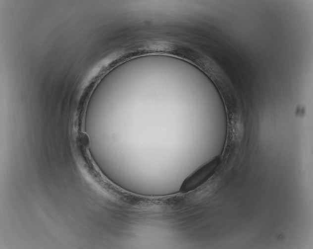 X0000112970726200908270943