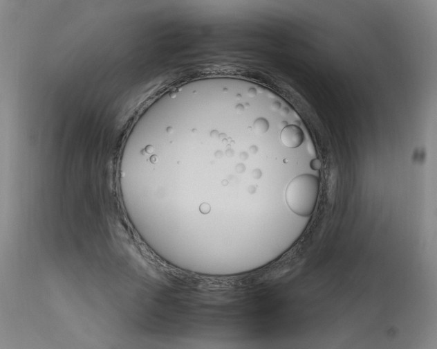 X0000112970729200908270943