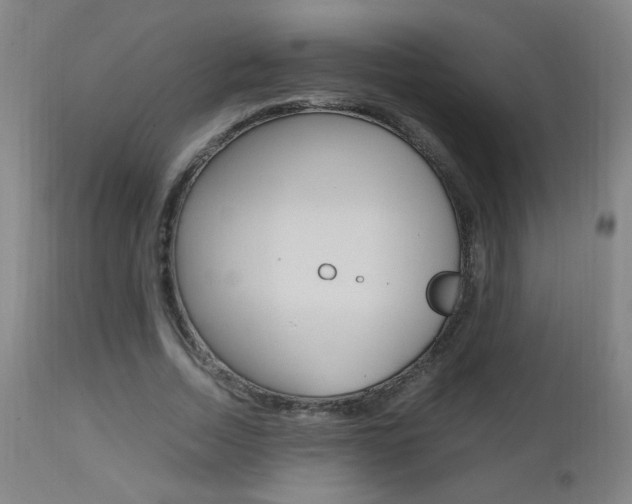 X0000112970730200908270943