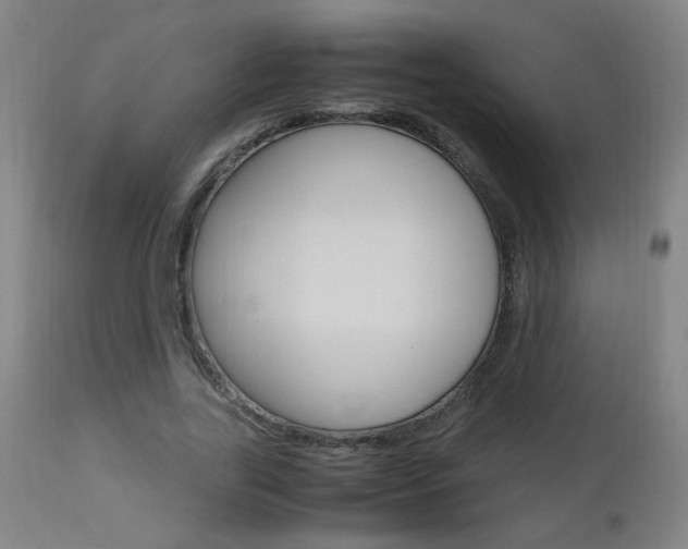 X0000112970731200908270943
