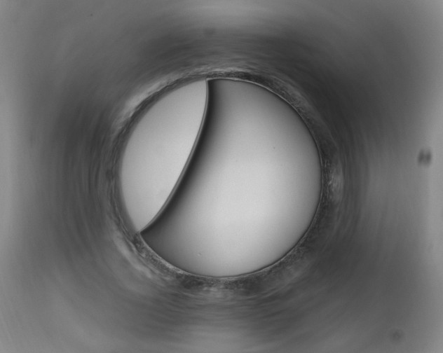 X0000112970732200908270943