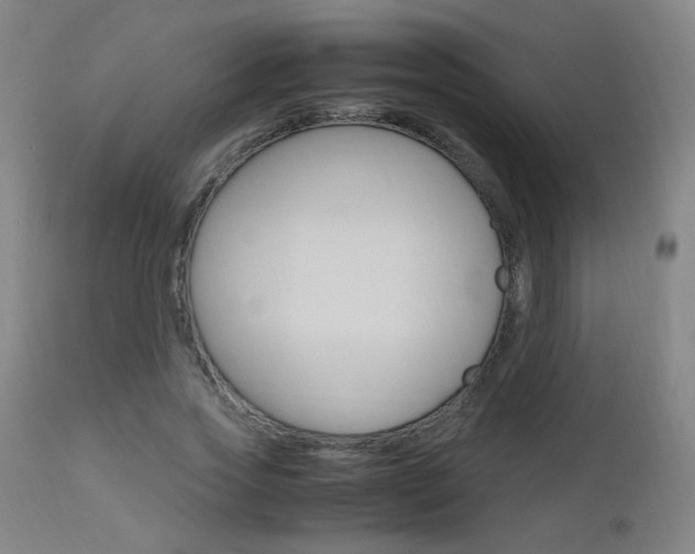 X0000112970733200908270943