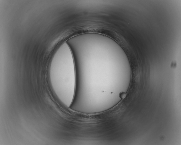 X0000112970735200908270943