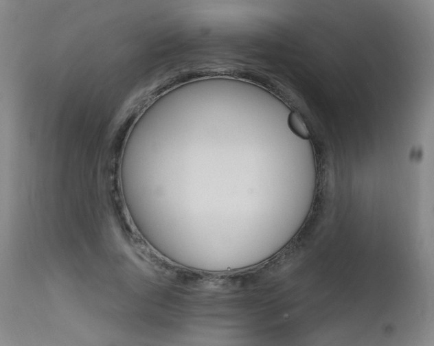 X0000112970736200908270943