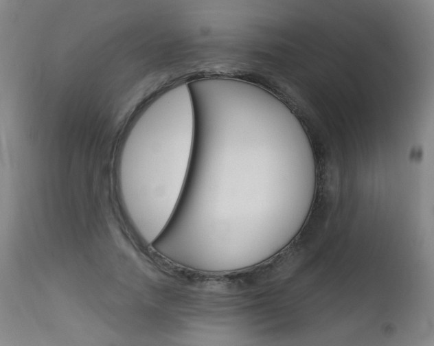 X0000112970738200908270943