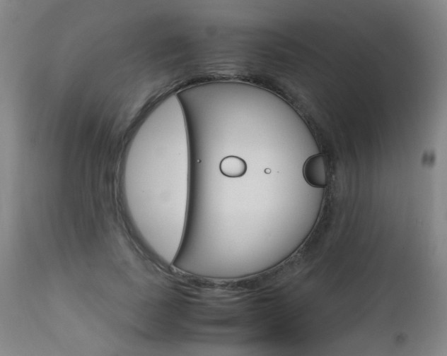 X0000112970739200908270943