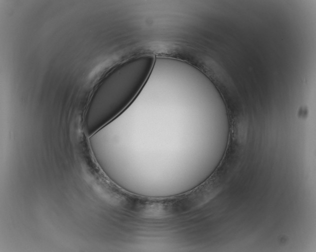 X0000112970740200908270943