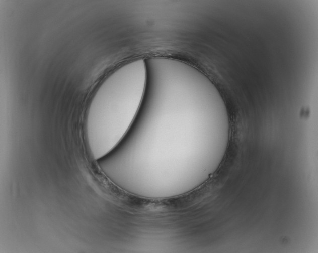 X0000112970742200908270943