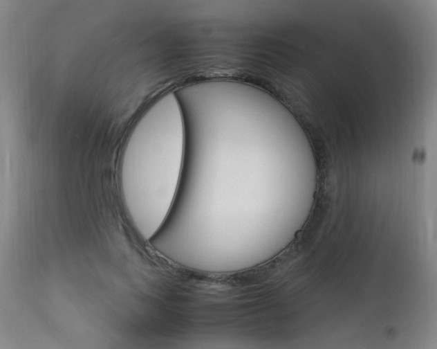 X0000112970743200908270943