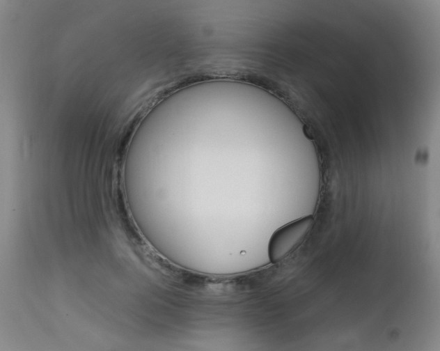 X0000112970744200908270943