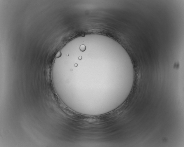 X0000112970745200908270943