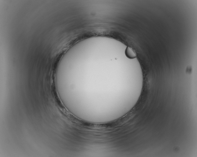 X0000112970746200908270943