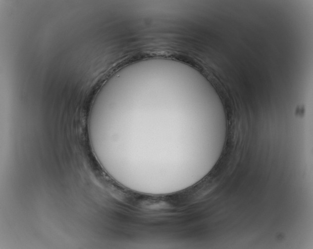 X0000112970747200908270943