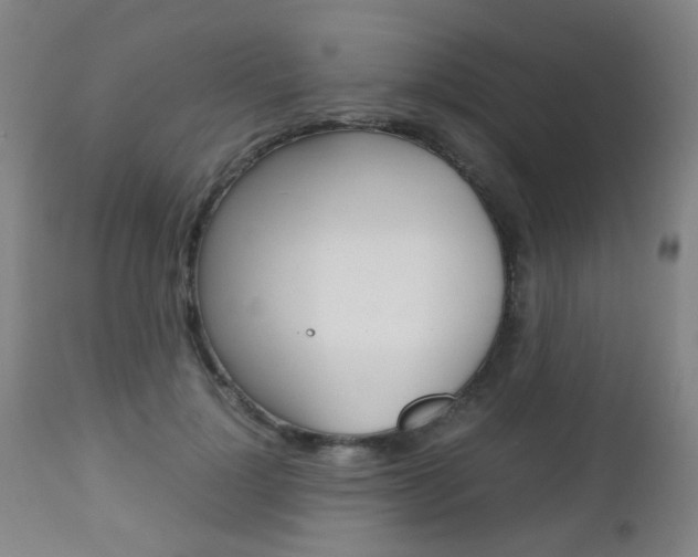 X0000112970748200908270943