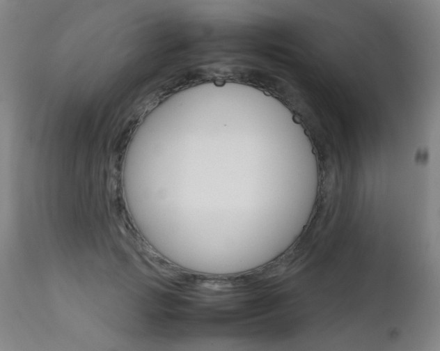 X0000112970749200908270943