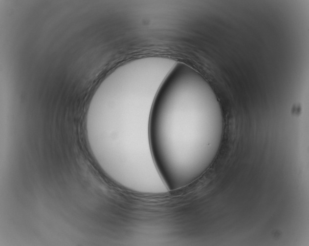 X0000112970750200908270943