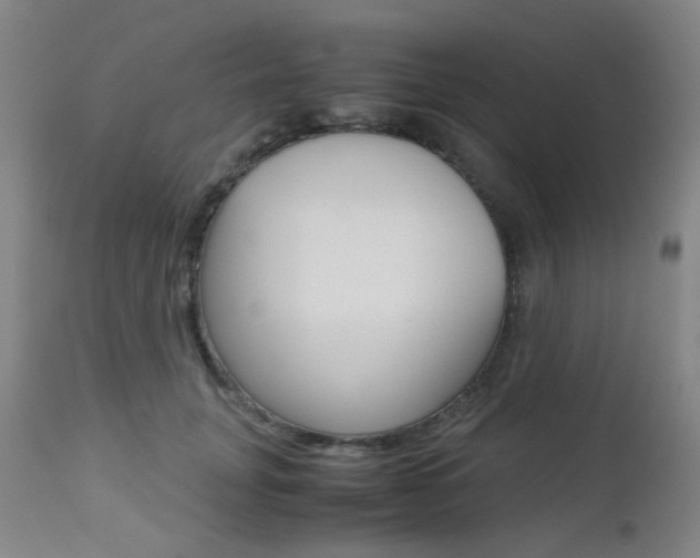 X0000112970751200908270943