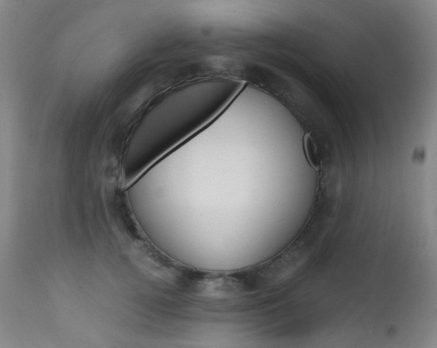 X0000112970752200908270943