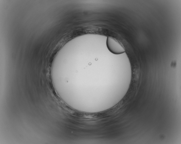 X0000112970753200908270943