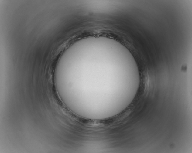 X0000112970754200908270943