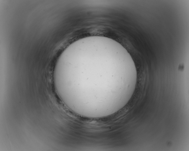 X0000112970755200908270943