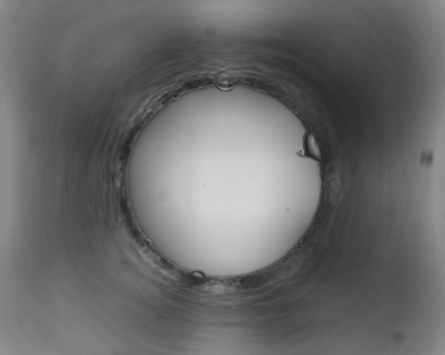 X0000112970756200908270943