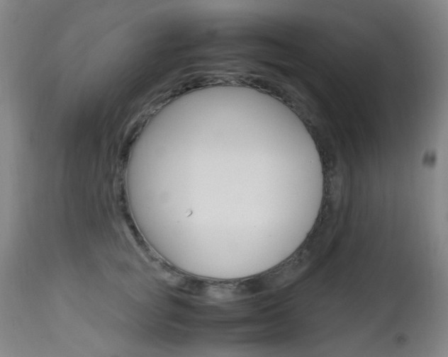 X0000112970757200908270943