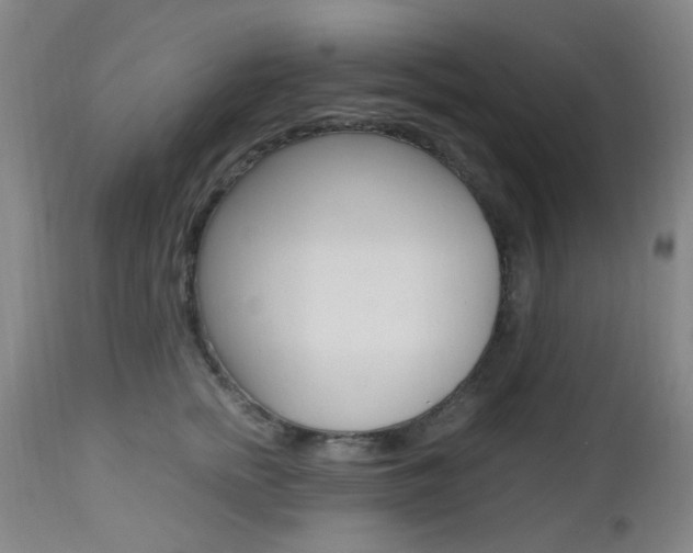 X0000112970758200908270943